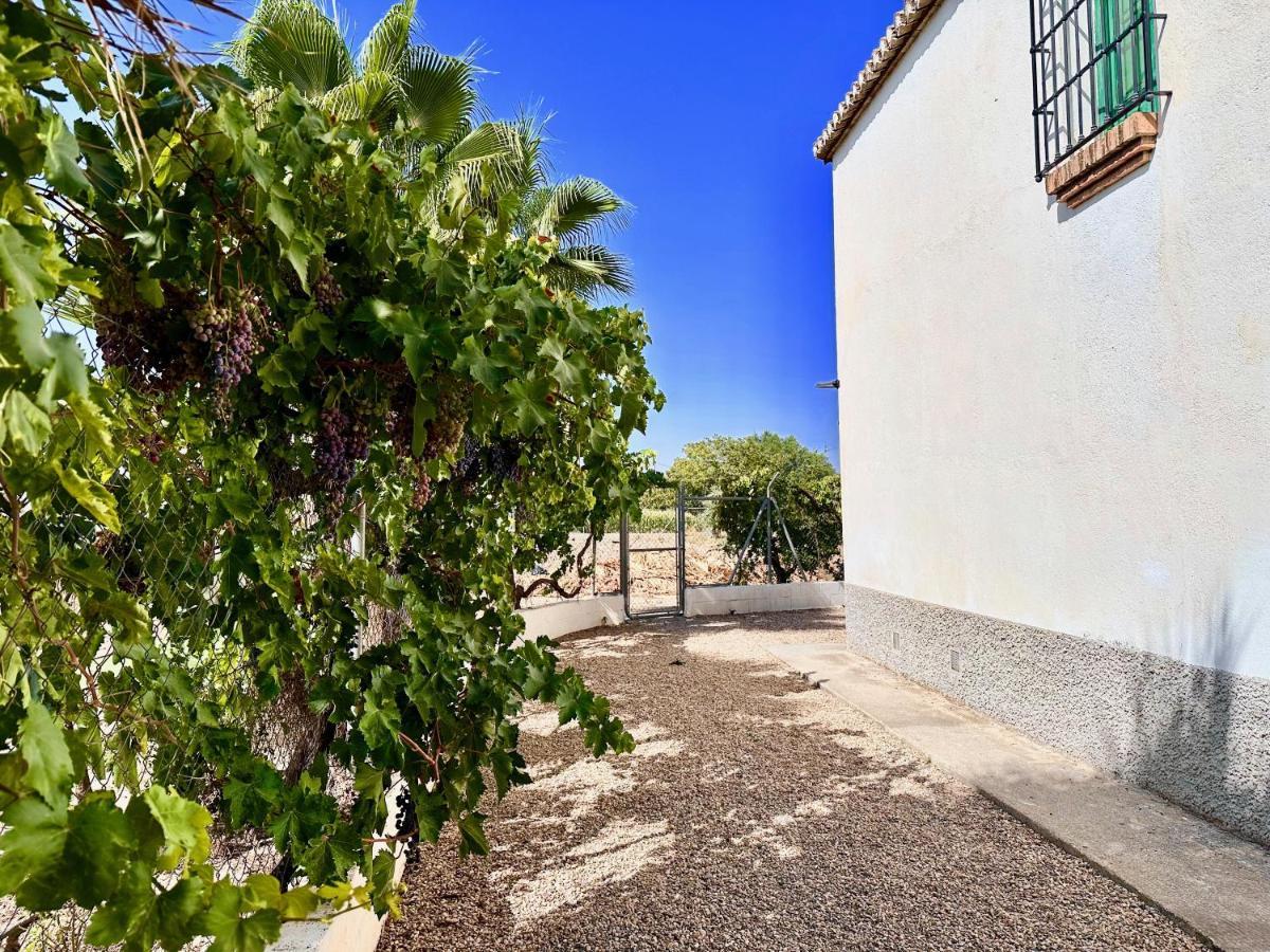Encantador Cortijo La Emiliana A 5 Minutos Del Centro Churriana de la Vega Exterior photo